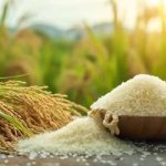 Peluang bisnis beras kemasan