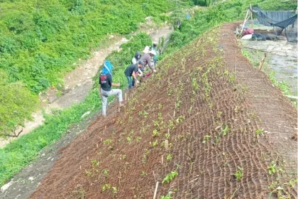 cocomesh sabut kelapa untuk penghijauan di lereng