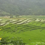mencegah-erosi-dengan-metode-mekanik