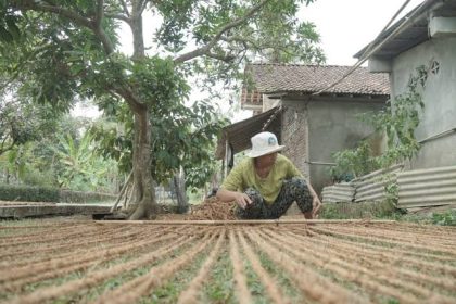 produsen-cocomesh-rumah-sabut