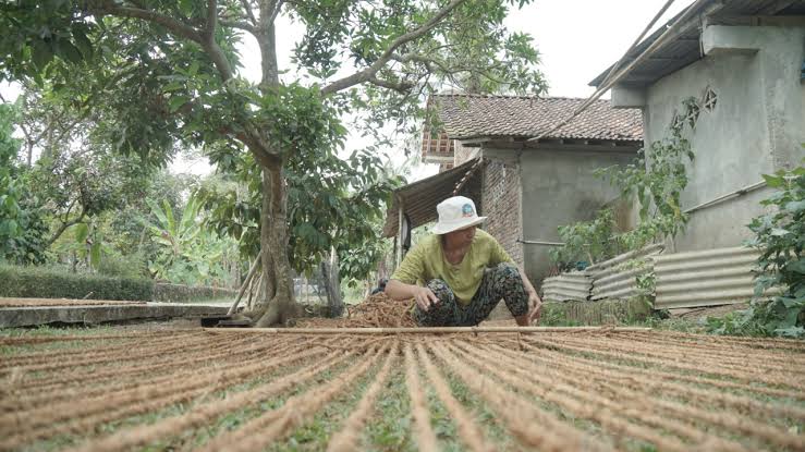 produsen-cocomesh-rumah-sabut