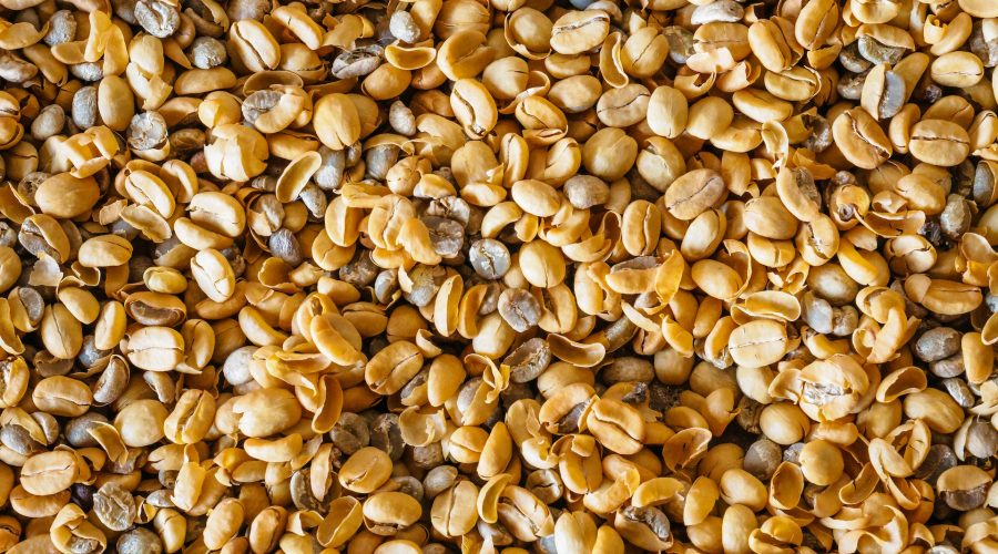 menangani biji hasil panen yang rusak