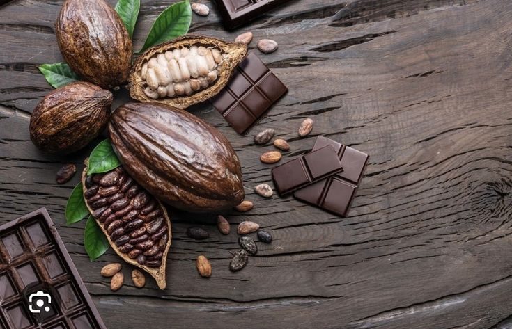 tips mengolah biji kakao menjadi cokelat