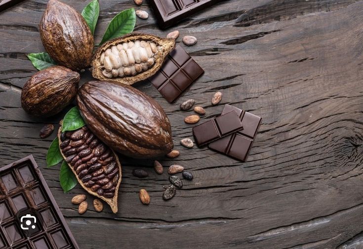 tips mengolah biji kakao menjadi cokelat
