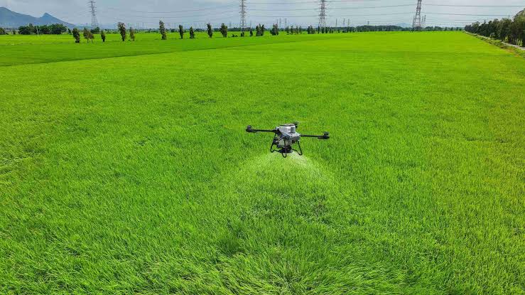 berapa luas lahan drone sprayer