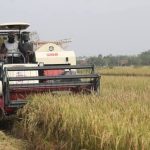 cara meningkatkan keuntungan usaha perontokan padi