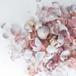 kulit bawang bisa dimanfaatkan
