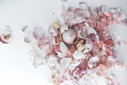 kulit bawang bisa dimanfaatkan