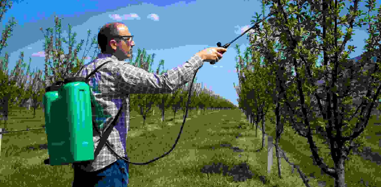 cara kerja hand sprayer elektrik