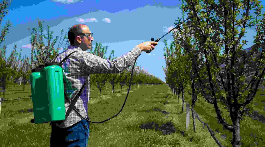 cara kerja hand sprayer elektrik