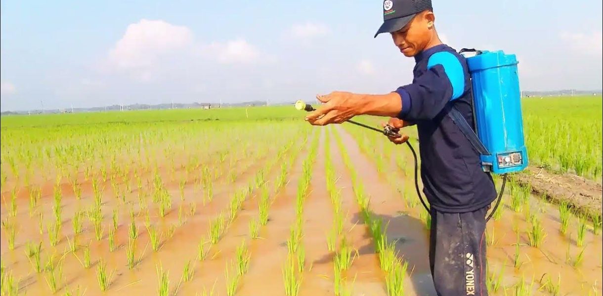 solusi penyemprotan tanaman tidak merata