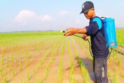 solusi penyemprotan tanaman tidak merata
