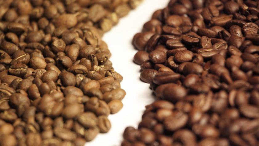 kopi arabika robusta