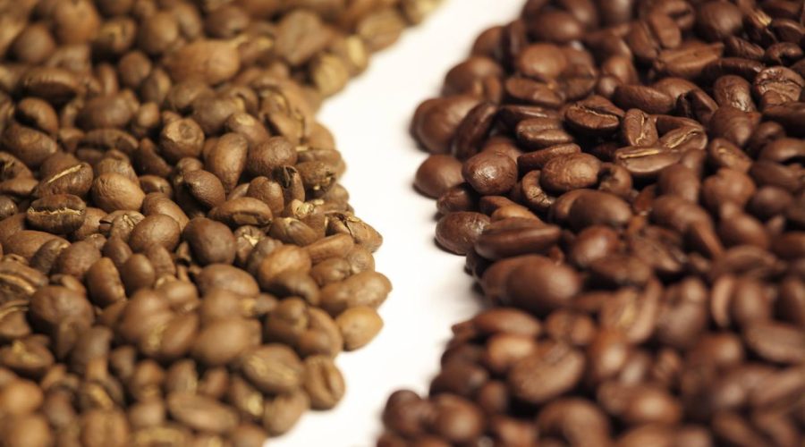 kopi arabika robusta