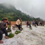 kendala dalam proses perajangan tembakau