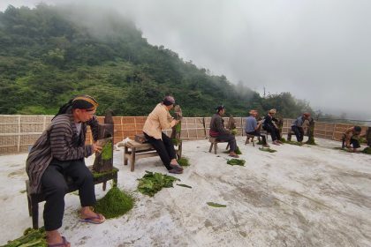 kendala dalam proses perajangan tembakau