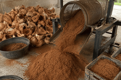 kelebihan cocopeat untuk media tanam