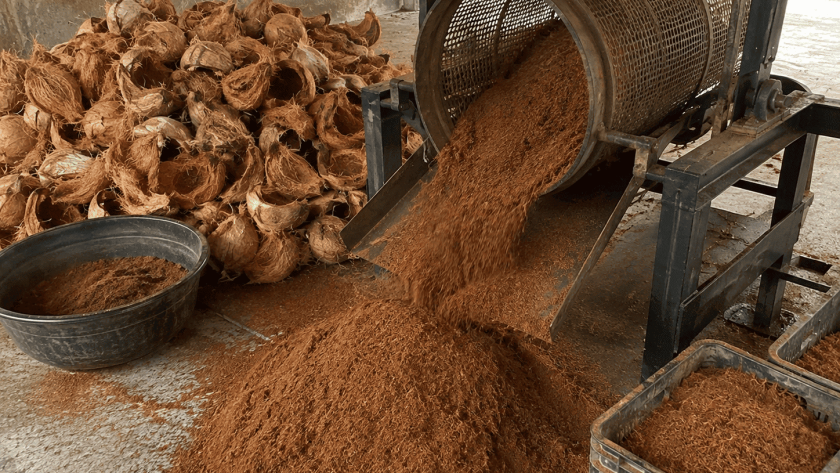 kelebihan cocopeat untuk media tanam