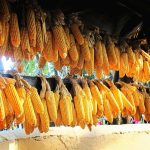 cara memisahkan kotoran dari jagung