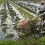 Persiapan Lahan Sebelum Musim Tanam