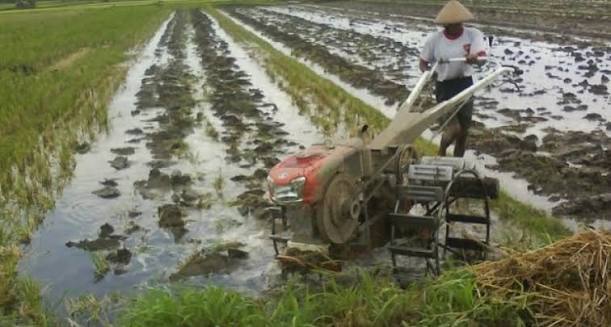 Persiapan Lahan Sebelum Musim Tanam