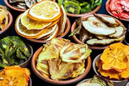 jenis makanan yang bisa dikeringkan