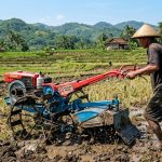 cara mengolah tanah sebelum musim tanam