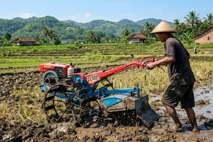 cara mengolah tanah sebelum musim tanam