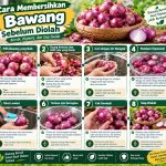 cara memisahkan kulit bawang dari umbi