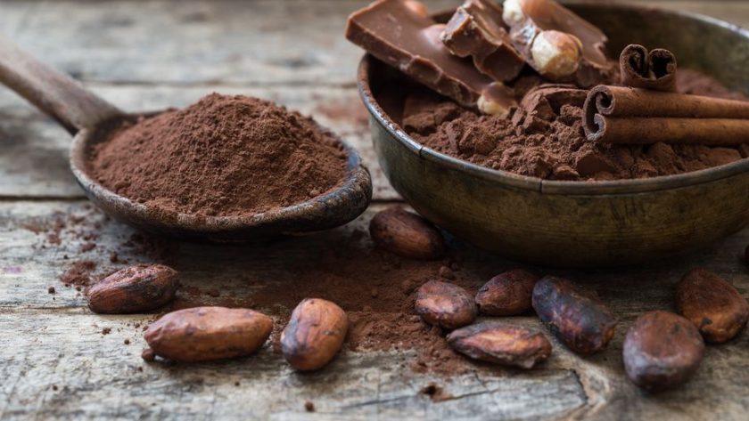 Kriteria Biji Kakao untuk Industri Cokelat yang Berkualitas