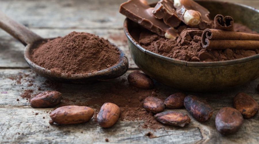 Kriteria Biji Kakao untuk Industri Cokelat yang Berkualitas