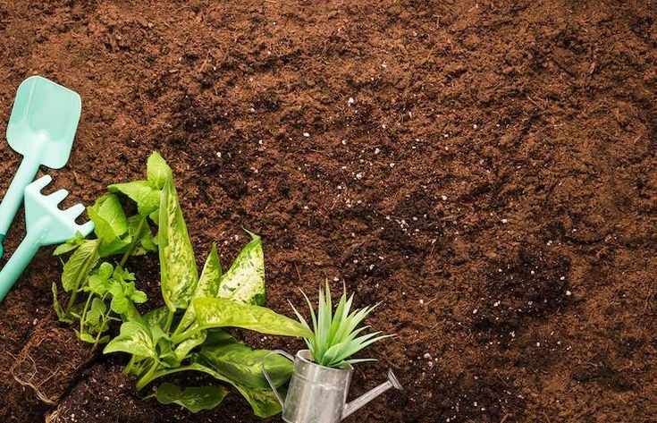 cara menjaga kesuburan tanah pertanian